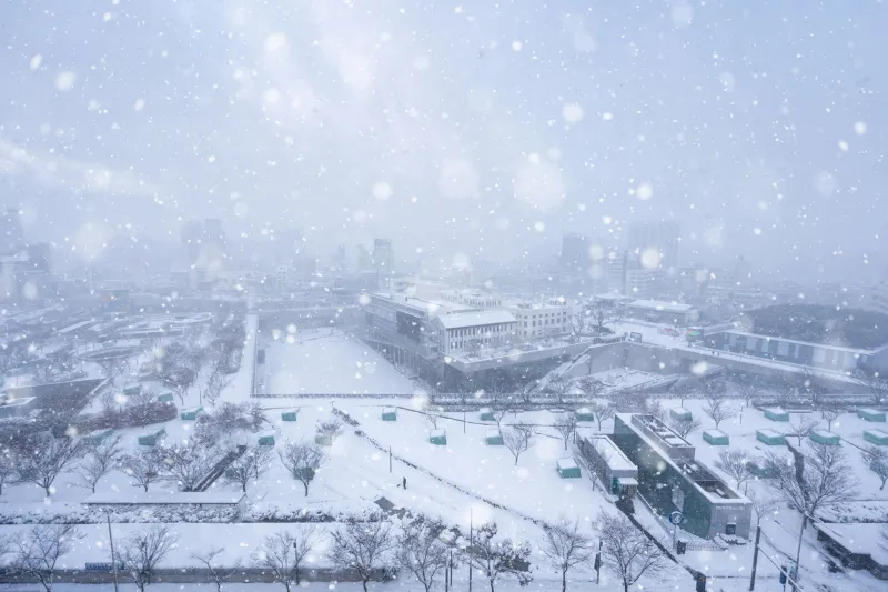 Cold Weather, Hot Leaks: The Seasonal Psychology Behind South Korea's Winter Whistleblower Surge